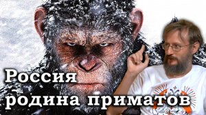 Дробышевский Россия родина приматов