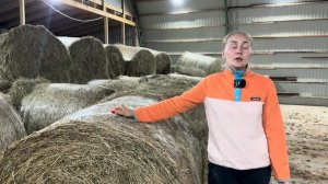 Совсем непростой сенокос 2025! Кормозаготовка в самом разгаре! Сломалась прям на трассе!