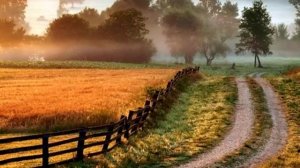 старая русская песня Хасмагомед Хаджимурадов(1975)