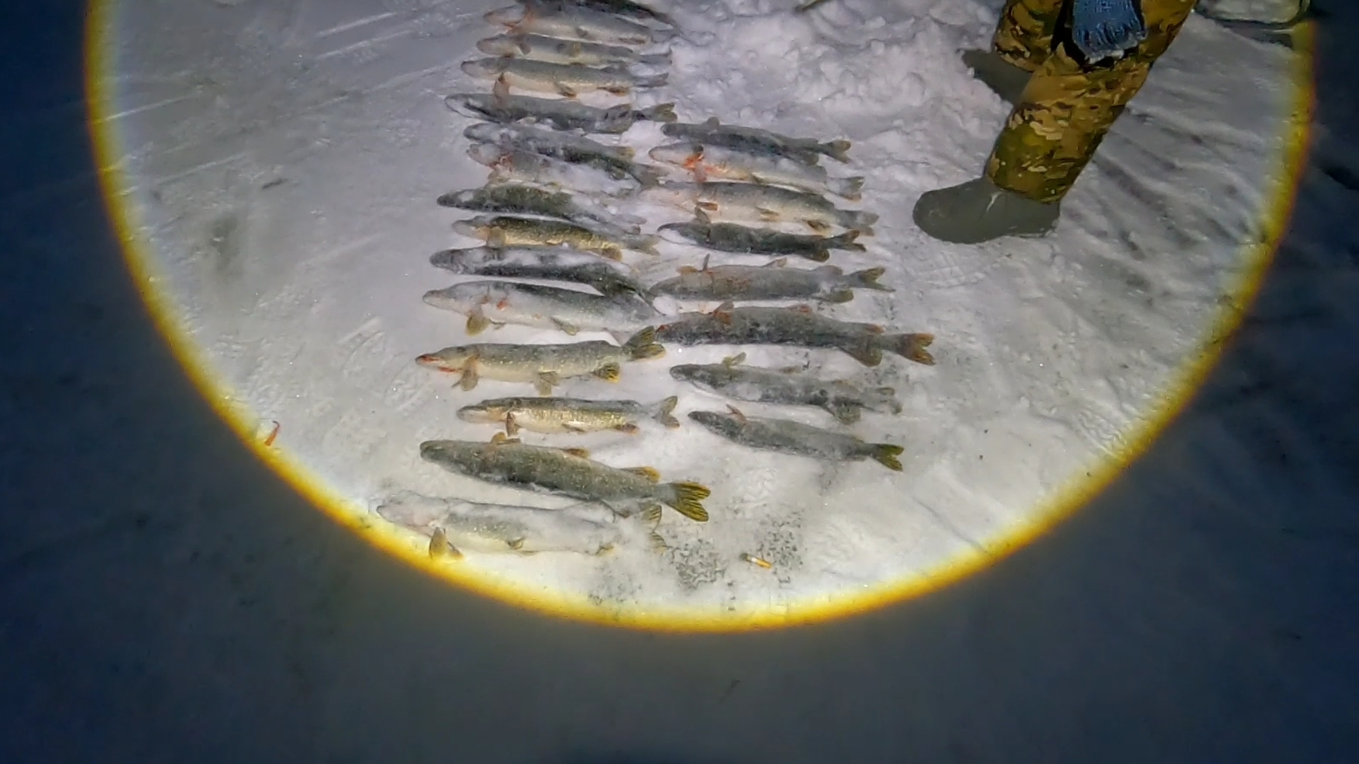 Оторвались по полной/Запоздавший первый лёд дал отличный результат/ Рыбалка на жерлицы/ смотреть онлайн