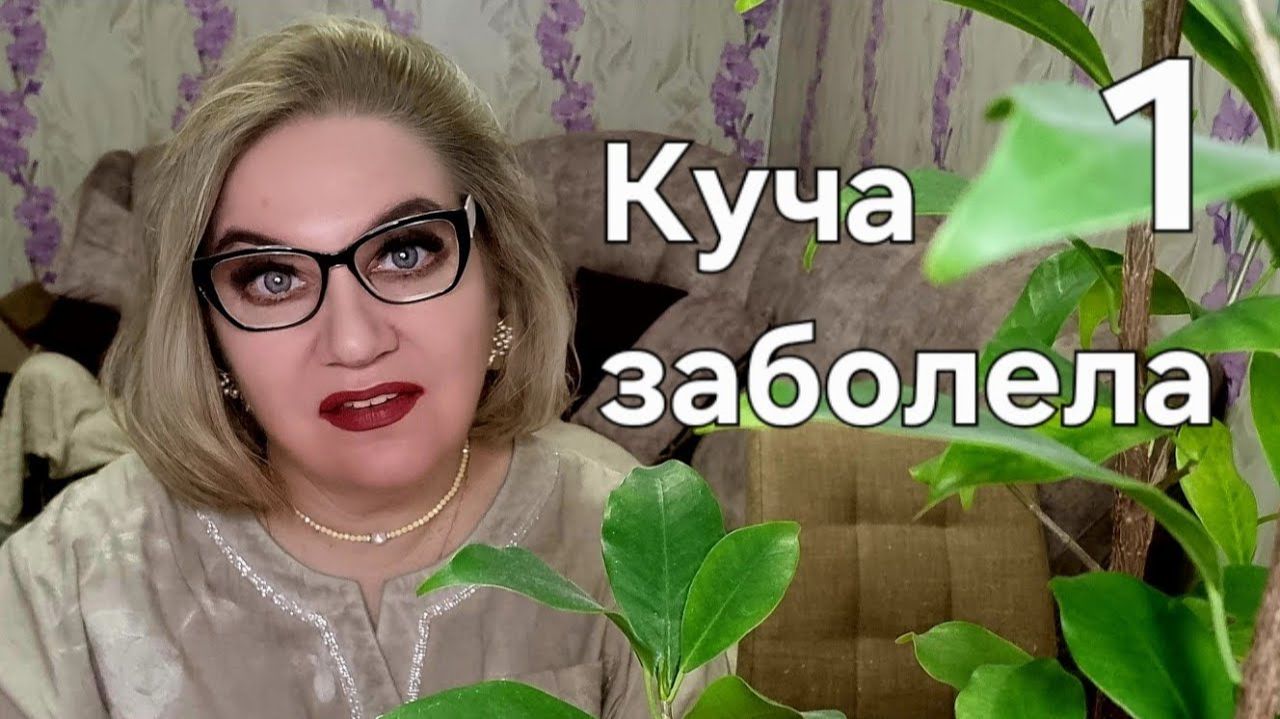 Куча заболела смотреть онлайн