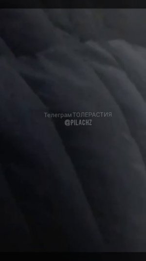 местные жители настолько ненавидели хохлов что отказались эвакуироваться даже под бомбежками