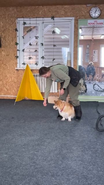 Мандариновый фристайл