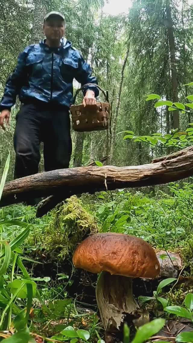 Грибник нашёл в лесу ЭТО и обалдел, такого не ожидал. смотреть онлайн