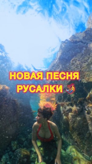 Новая песня!