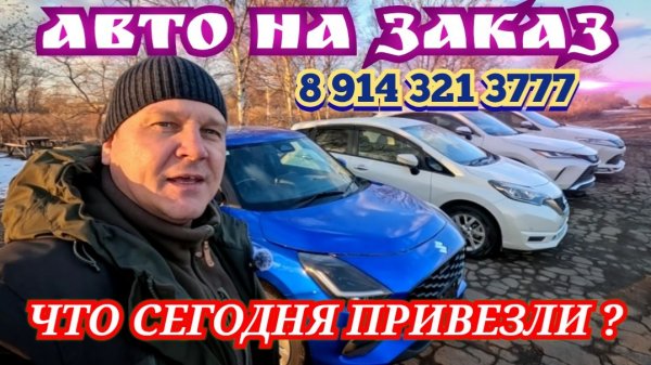 ЧТО СЕГОДНЯ ПРИВЕЗЛИ ?