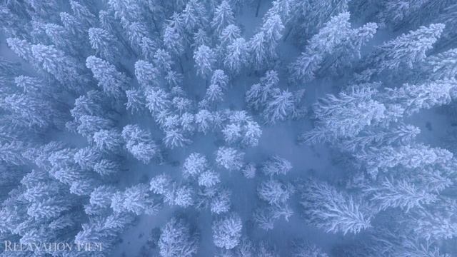 Зима, снег,лес, зимние просторы, ледяные реки и озера, чарующая зима смотреть онлайн