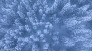 Зима, снег,лес, зимние просторы, ледяные реки и озера, чарующая зима