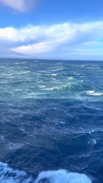 Три одиночества