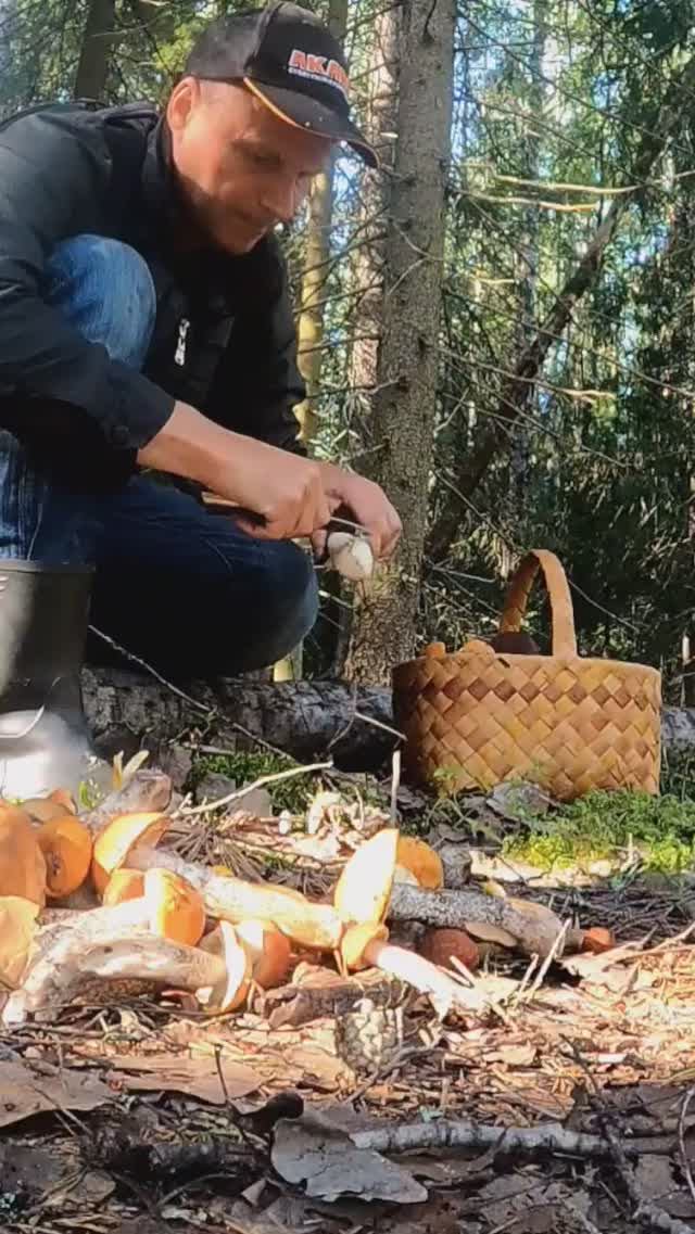 Грибник всю жизнь мечтал попасть в этот лес, где всё грибами усеяно. смотреть онлайн