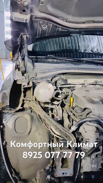 ШКОДА КОДИАК - сИлИкАгЕль ♀️Kodiaq Skoda комплексная промывка от СИЛИКАГЕЛЯ -«Комфортный Климат» смотреть онлайн