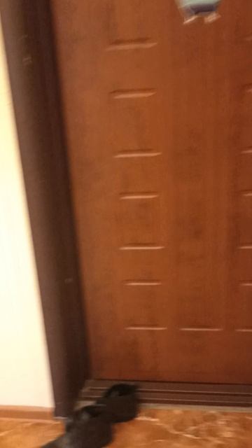 молодцова смотреть онлайн