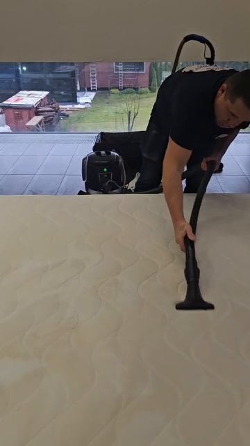 Химчистка матраса с удалением пятен от проделок домашних животных в коттеджном поселке Президент