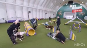 «Звезды под капельницей» 3 выпуск 28.11.25 необычная терапия с собаками в борьбе с зависимостями