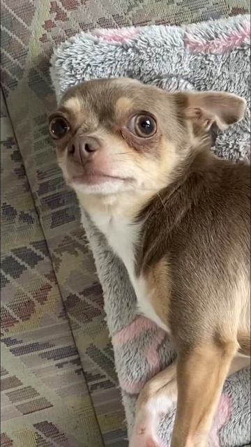 Декабрь 2025 Ниночка.