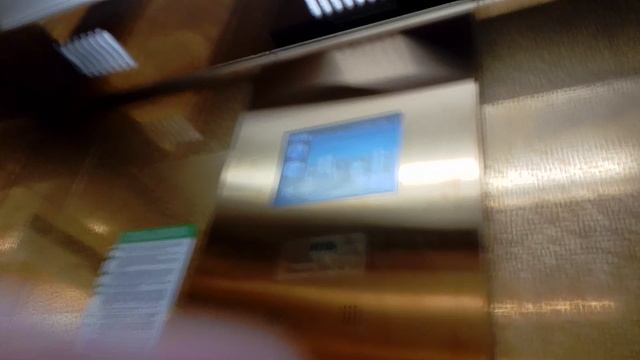 шок золотой otis 😱 в квартале аксиома Екатеринбург