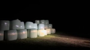 Сколько собрали сена и сенажа в августе 2025г? Подведем итоги! Наши планы на новую технику!