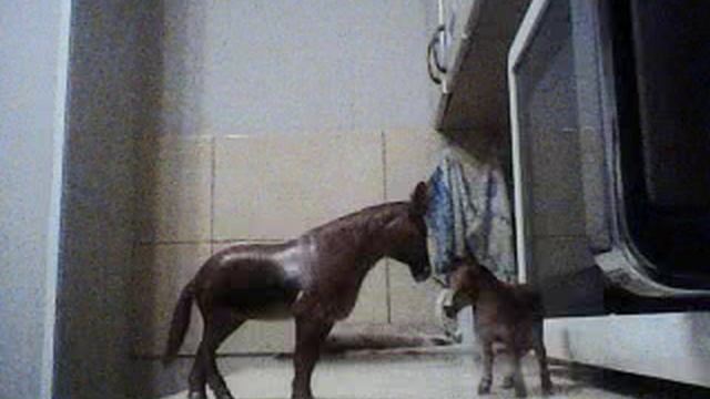 октябрёвский НОЧНОЙ КУХОННО-КОМНАТНЫЙ БЛОГ №1547 Я ПИШУ СЕГОДНЯ ВСЕМ ДО КЛЮЧИКОВ.(05.10.2025г)06.10 смотреть онлайн