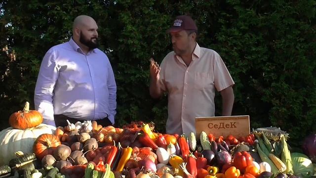 Интервью с клиентом "Московской Академии Продаж" смотреть онлайн