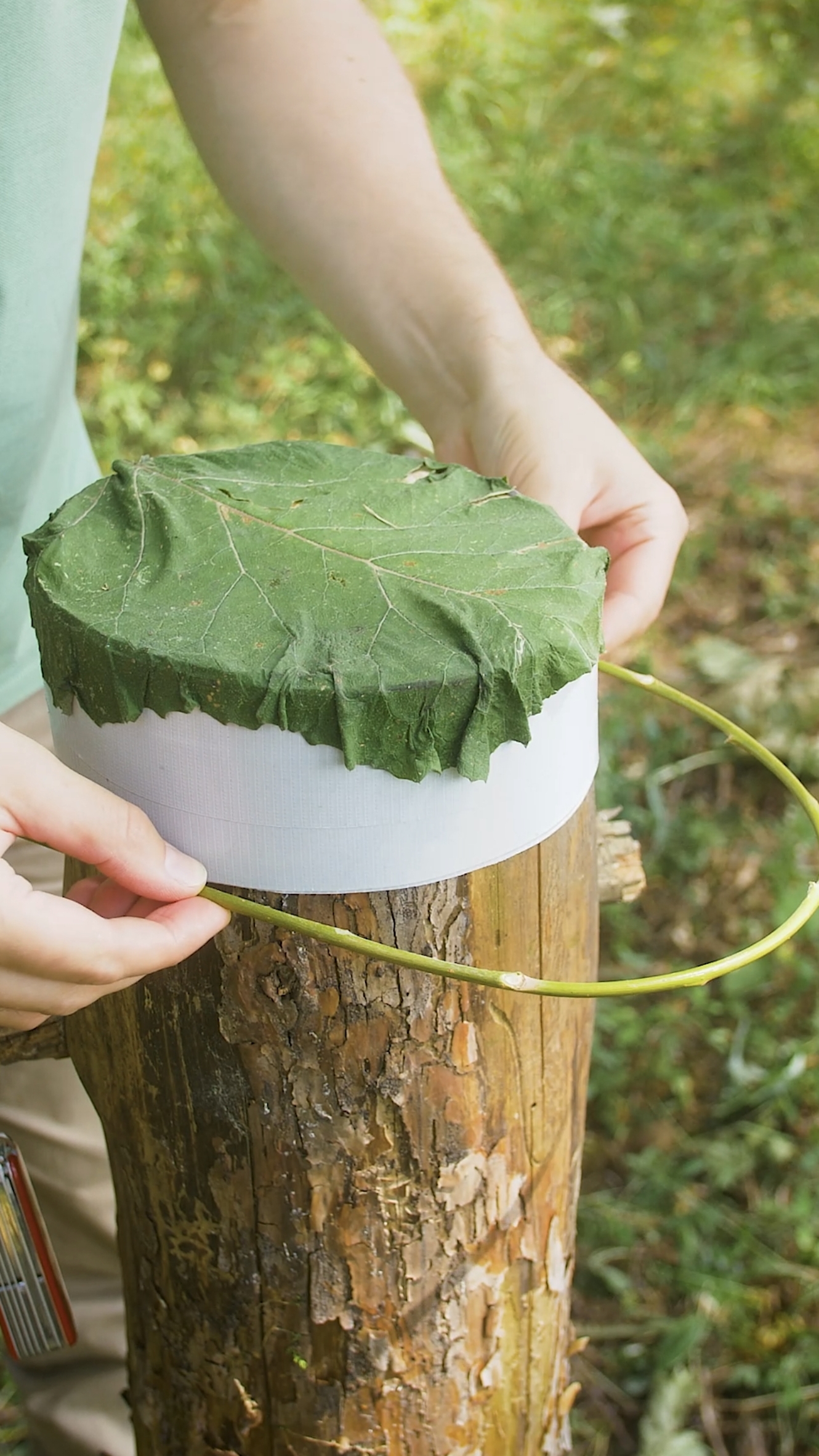 полезный лайфхак смотреть онлайн