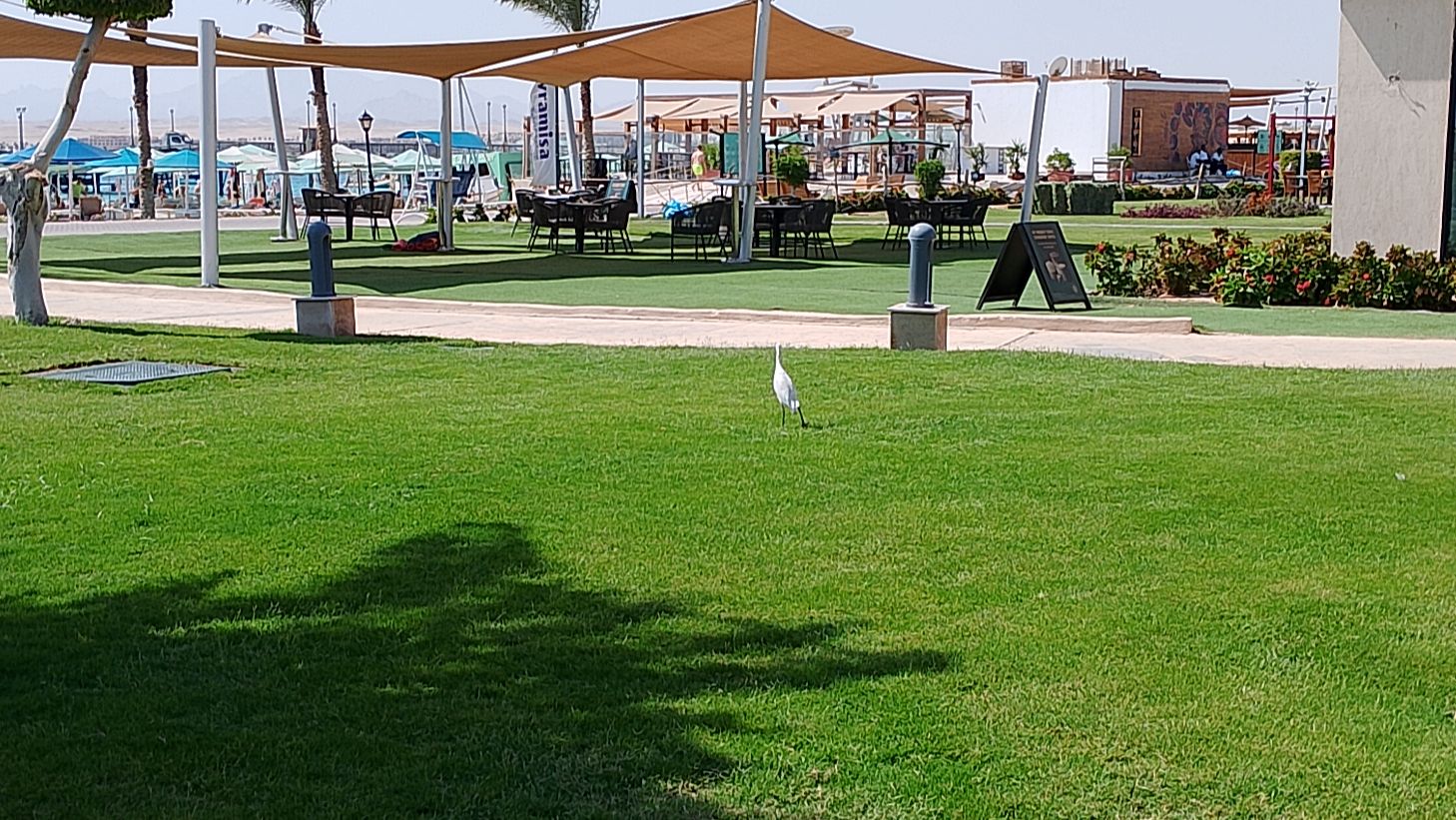 Спасибо любимым детям . внукам за подаренный сказочный отдых