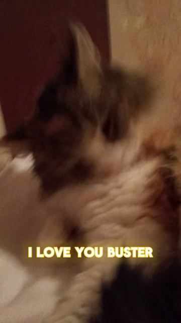 если что её зовут Бася смотреть онлайн