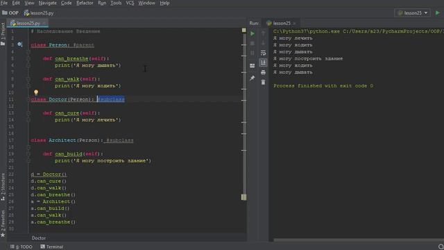 Наследование в объектно-ориентированном программировании. Введение в ООП Python смотреть онлайн