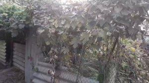 Устраняем проблемы в системе отопления! Эту работу делай Сам-  вовремя!