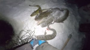 Рыбалка у чёрной дыры. Ловля налима. Двадцать вторая серия.