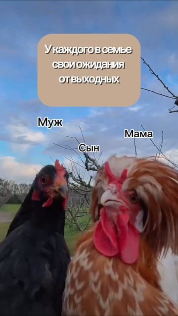 Все ждут выходных?! 😆
