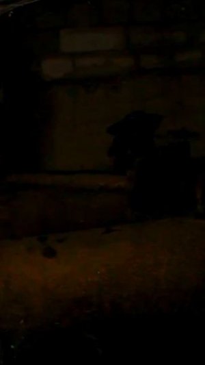 КОТ_  #oiia #oiiaoiiacat #oiiaoiia