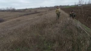 Заяц в пахоте!Сильный ветер!Охота на зайца