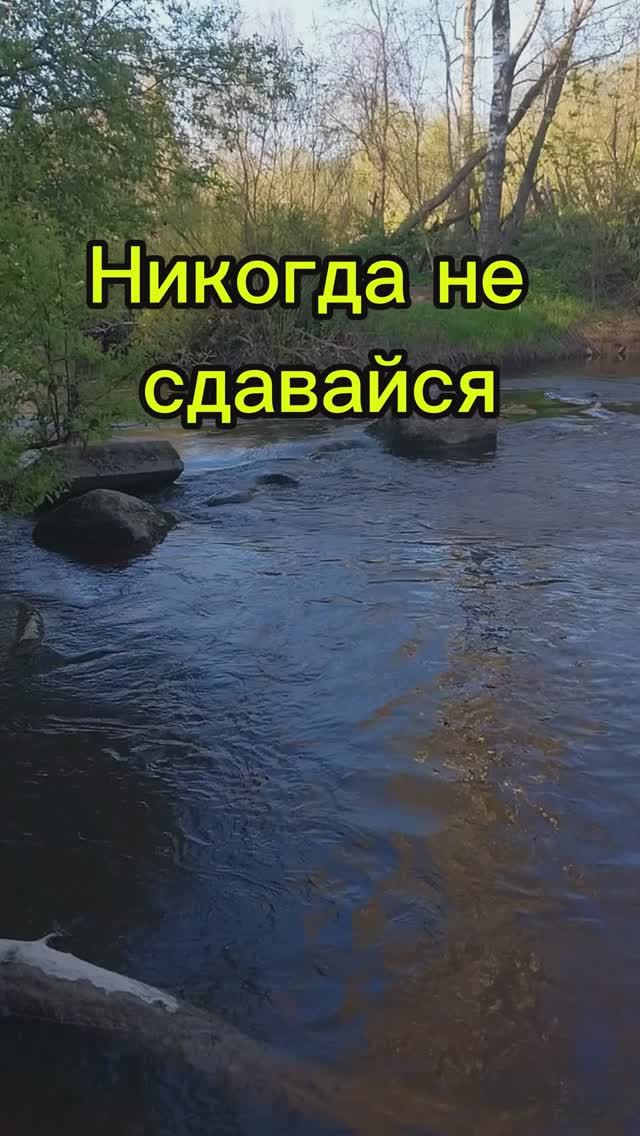 Никогда не сдавайся