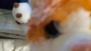 Приключения котиков 2 серия