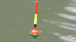 ПЛОТВА, ОКУНЬ, ЩУКА ЗИМОЙ НА ПОПЛАВОК.