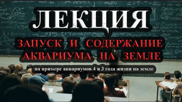 Лекция - Запуск и содержание аквариума на земле на примере аквариумов 4 и 3 г. на земле.