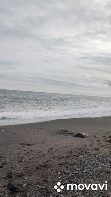 Алушта. Море. Декабрь