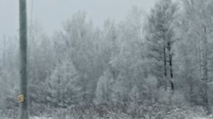 СЕЛЬСКИЕ БУДНИ