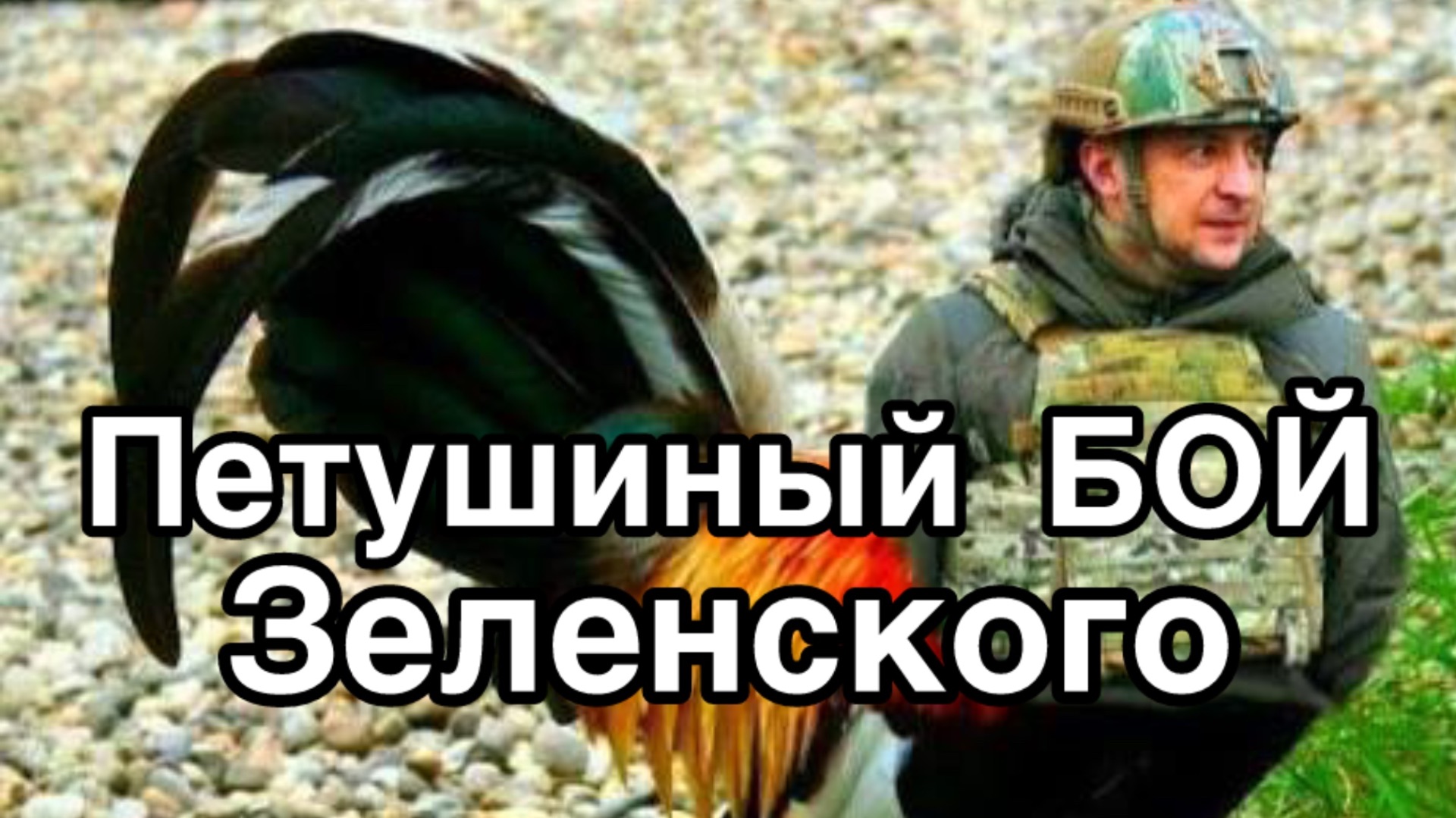 Львов. Вооруженное сопротивление режиму Зеленского. Петушиный бой бандеровских внуков смотреть онлайн