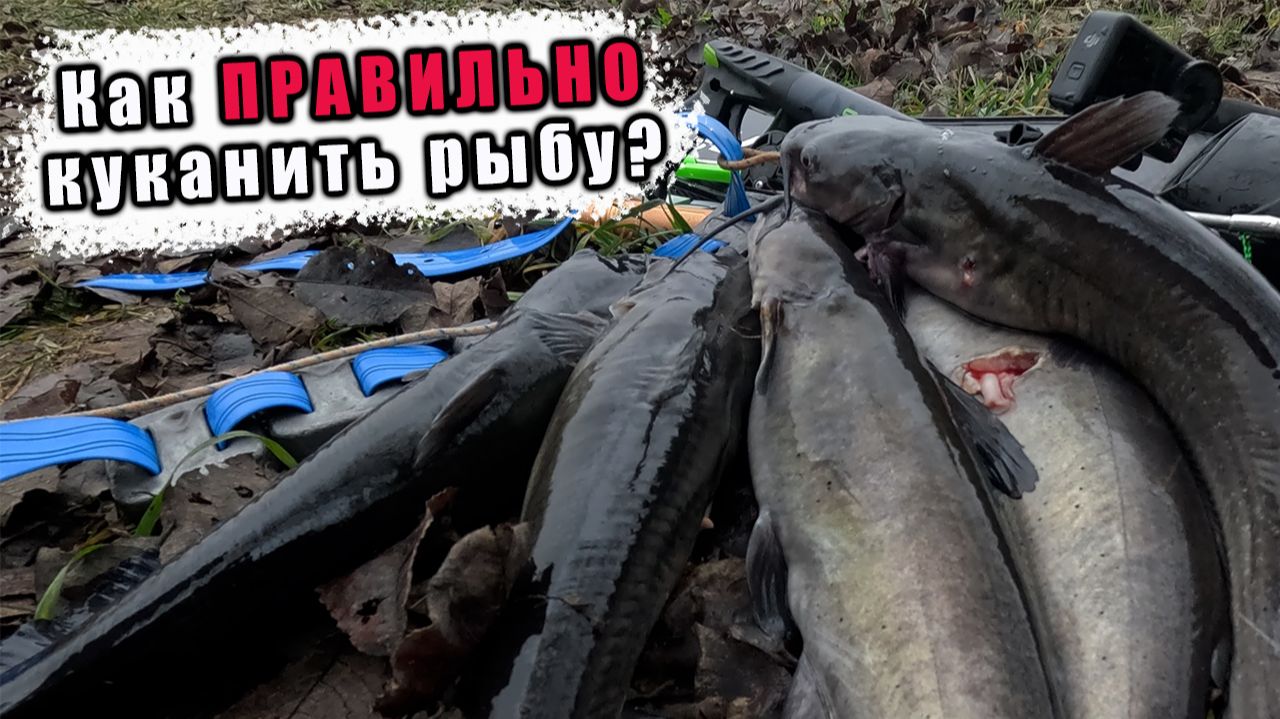 ТРИ ФАКТОРА УСПЕШНОЙ ОХОТЫ!!! СТРЕЛЯЮ В ПРОВЕРЕННЫХ МЕСТАХ!!! смотреть онлайн