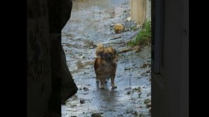 Крит. Ретимно. Новый Год!