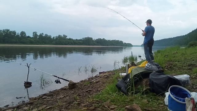 29. Рыбалка на реке Вятка. Не остался без улова. Дожди.