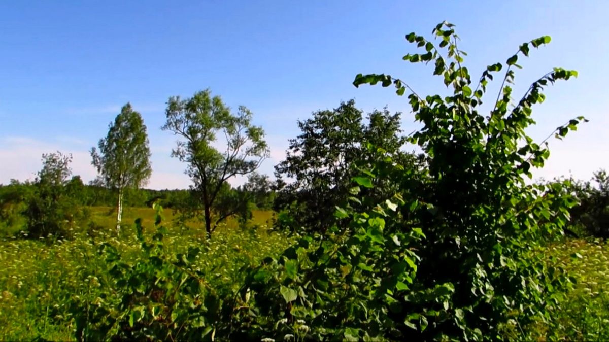 Когда-то здесь была деревня смотреть онлайн