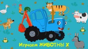 Изучаем Животных