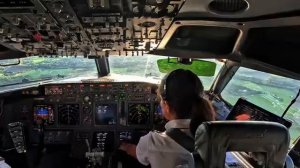 Посадка самолёта в  турбулентость.