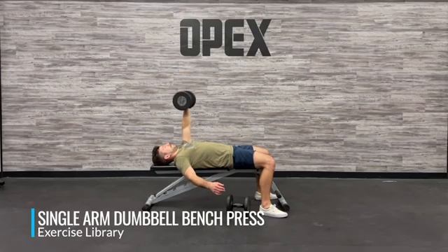 Жим одной гантели лёжа / Single Arm Dumbbell Bench Press смотреть онлайн