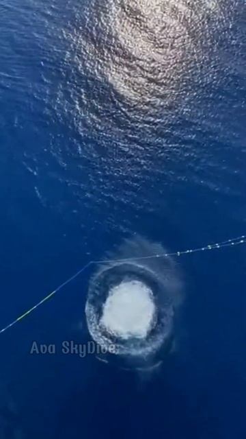 Морская вода ждет ныряльщицу смотреть онлайн