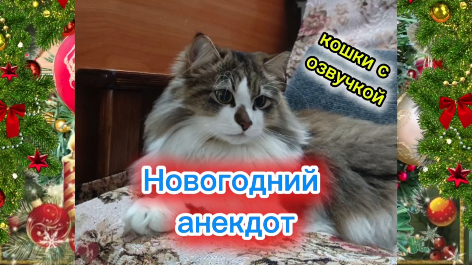 Новогодний анекдот. Кошки с озвучкой. смотреть онлайн