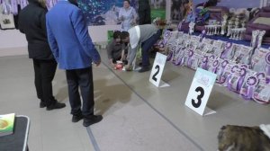 Он же Гера ,он же Гриша.Маленький Принц из Воронежа.