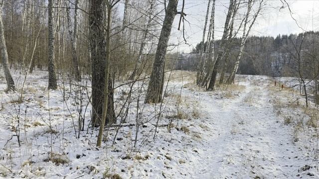 14 декабря 2025 года 🍂 Локация 🌳 Любимая Родина Данков🔥 смотреть онлайн